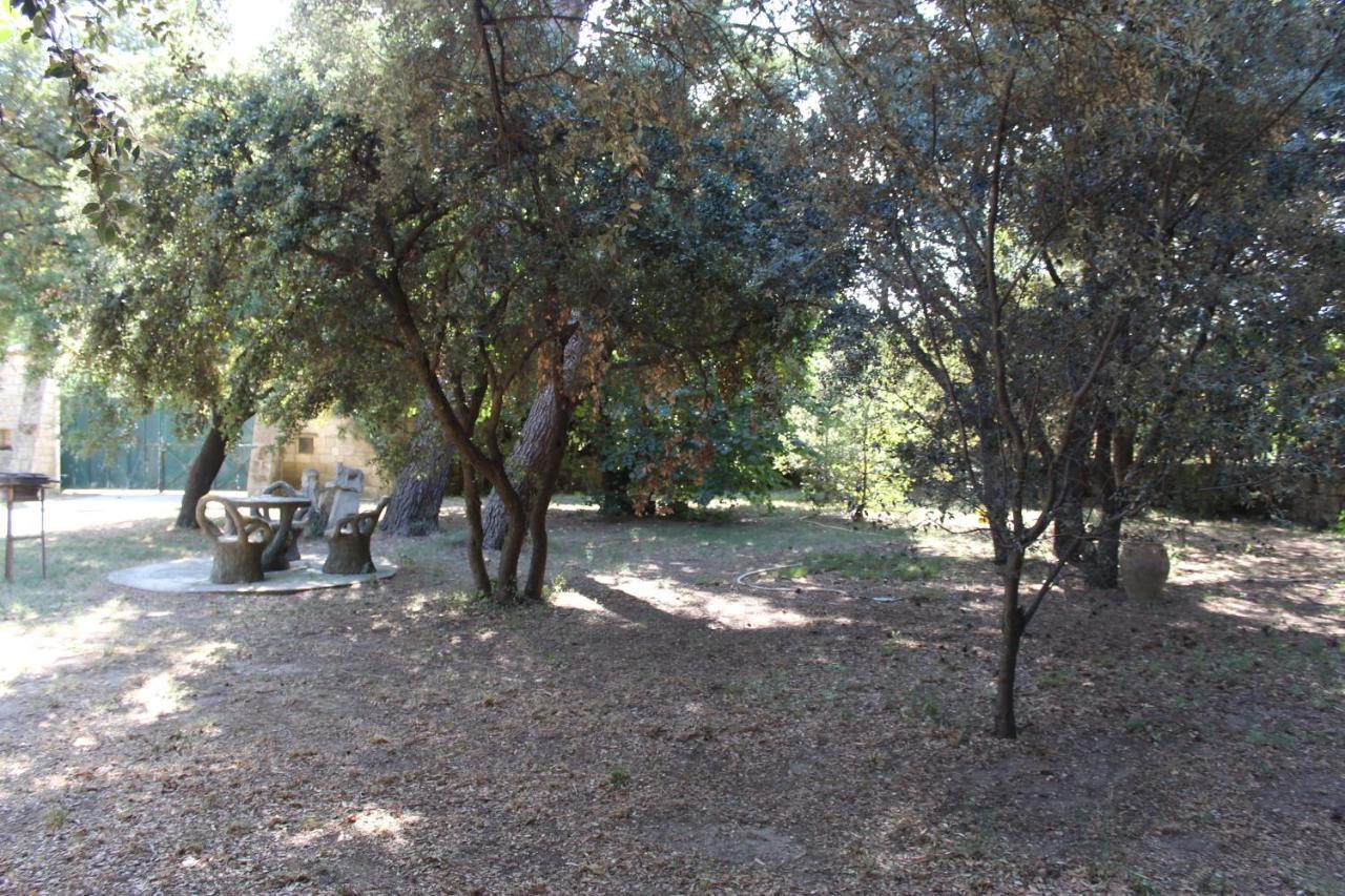 Le Mas De Lucien Entre Arles, Nimes, Avignon. ボーケール エクステリア 写真