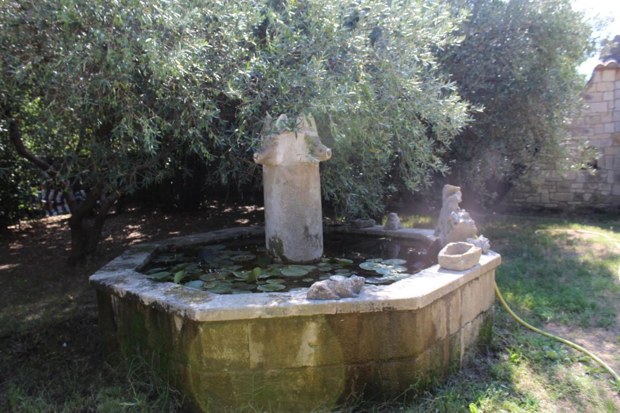 Le Mas De Lucien Entre Arles, Nimes, Avignon. ボーケール エクステリア 写真