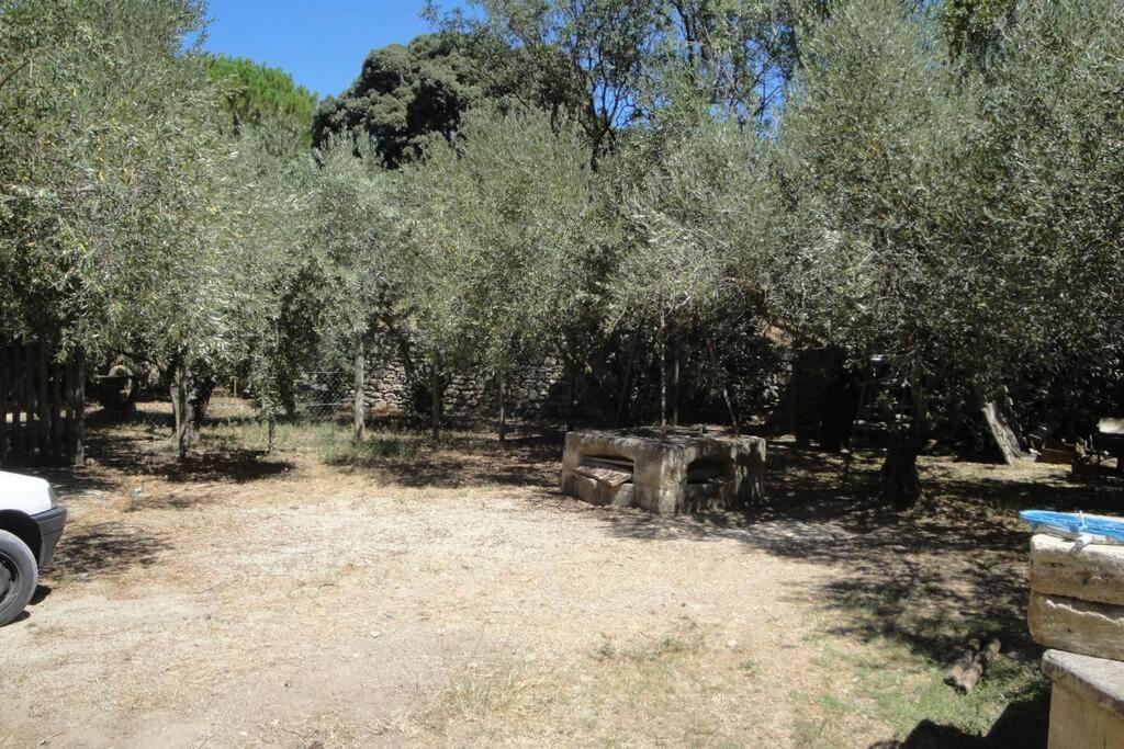 Le Mas De Lucien Entre Arles, Nimes, Avignon. ボーケール エクステリア 写真