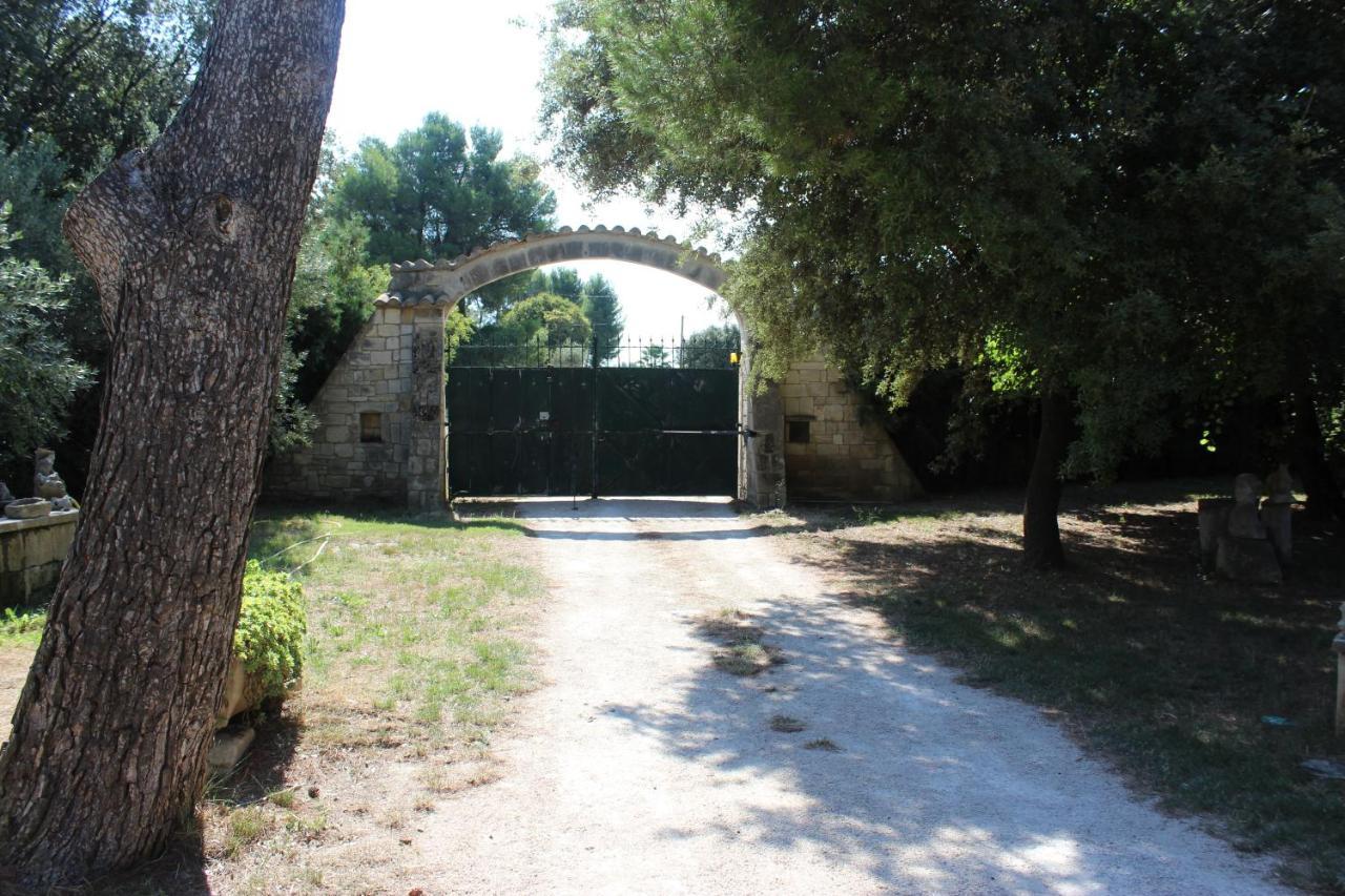 Le Mas De Lucien Entre Arles, Nimes, Avignon. ボーケール エクステリア 写真